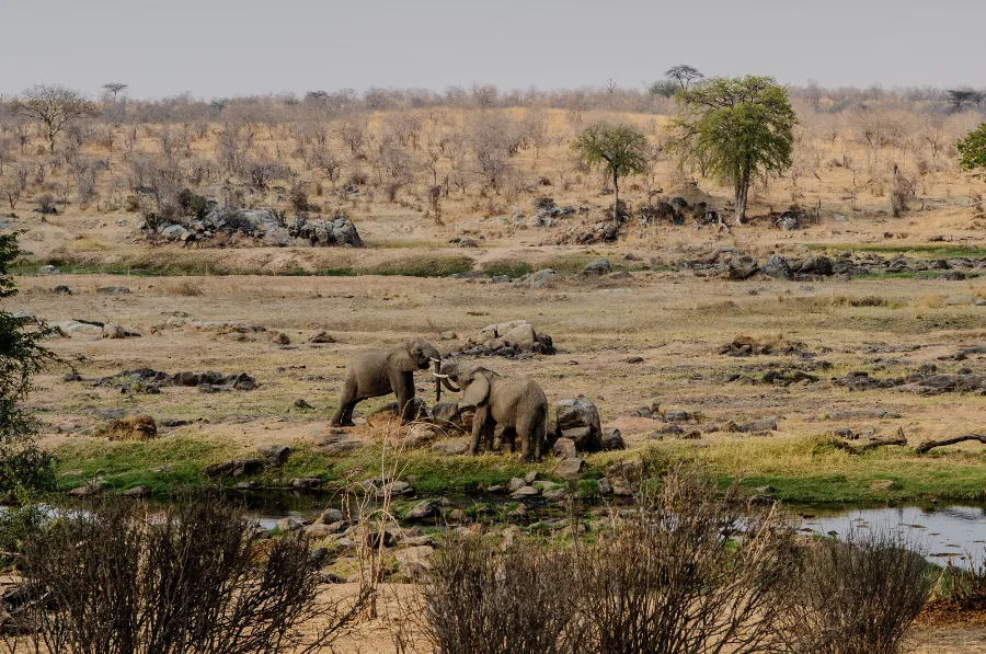 Ruaha-3