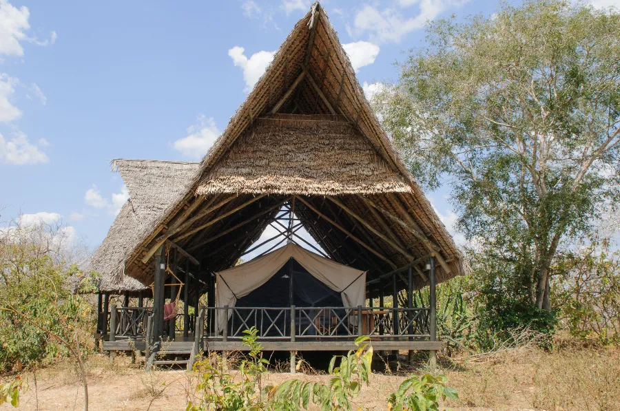 Selous-2