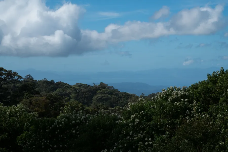 Monteverde-1
