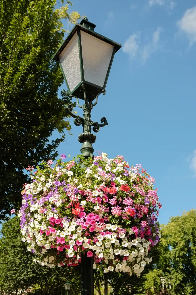Hangmand aan een lantaarnpaal