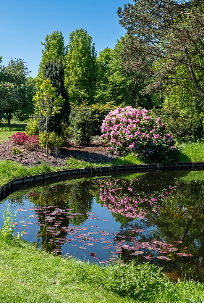 Westbroekpark vijver met weerspiegelingen